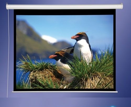 Экран Draper Accuscreen Manual Format (16:10) 277/109" (57 1/2x92") 145*233 MW TBD12" 800064