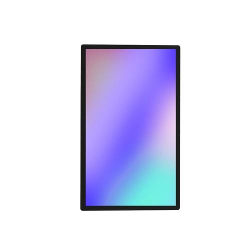 Профессиональный дисплей Lumien LFT3201PC