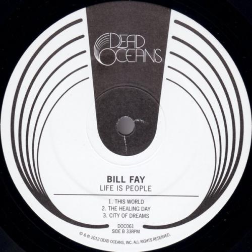 Виниловая пластинка Bill Fay - Life Is People (Black Vinyl 2LP)