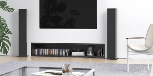 Активная напольная акустика Piega Premium 501 Wireless W