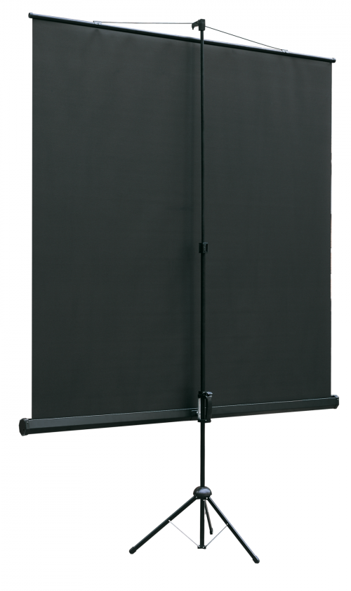 Экран на штативе Lumien [LEV-100112] Eco View 183x244см (раб.область175х236 см) Matte White
