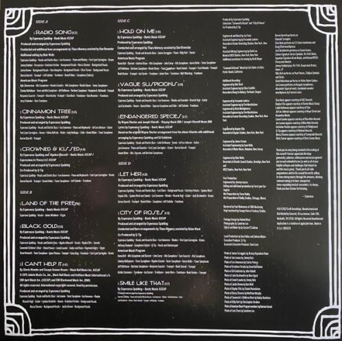 Виниловая пластинка Esperanza Spalding - Radio Music Society (Black Vinyl 2LP)