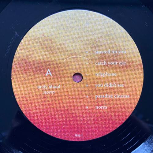 Виниловая пластинка Andy Shauf - Norm (Black Vinyl LP)