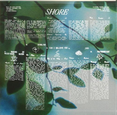 Виниловая пластинка Fleet Foxes - Shore (Black Vinyl 2LP)