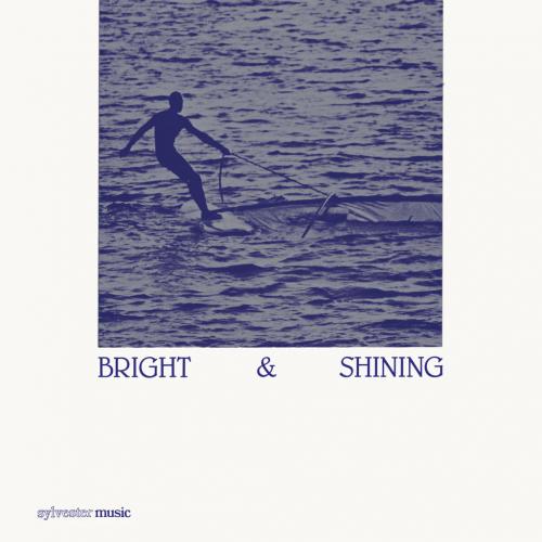 Виниловая пластинка Barbara Moore - Bright And Shining (Black Vinyl LP)