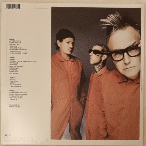 Виниловая пластинка Blink-182 - One More Time…Part-2 (Blue Balls Coloured Vinyl 2LP)