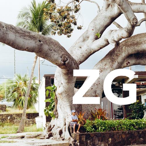 Виниловая пластинка ZG - ZG (Black Vinyl LP)
