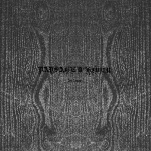 Виниловая пластинка Paysage D'Hiver - Im Traum (EP) (V10) (Black Vinyl LP)