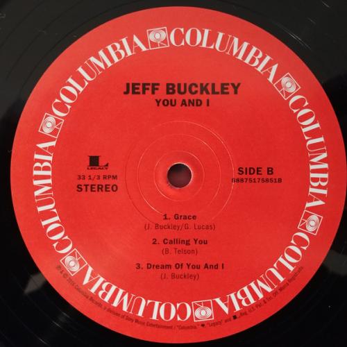 Виниловая пластинка Sony Jeff  Buckley You & I (180 Gram/Gatefold)