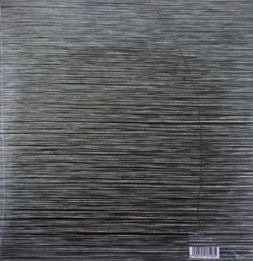 Виниловая пластинка Eraldo Bernocchi; Sontakke, Prakash - Invisible Strings (Black Vinyl LP)