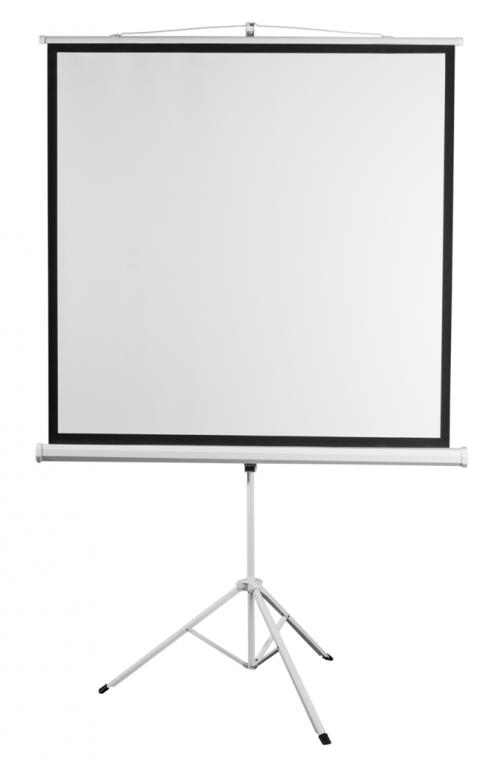 Экран на штативе Digis DSKD-1108 (1:1, 135", 248x250, MW)