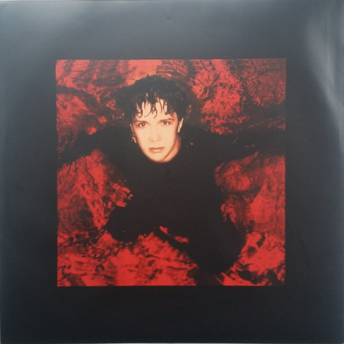 Виниловая пластинка Indochine, Dancetaria (180 Gram/Remastered)