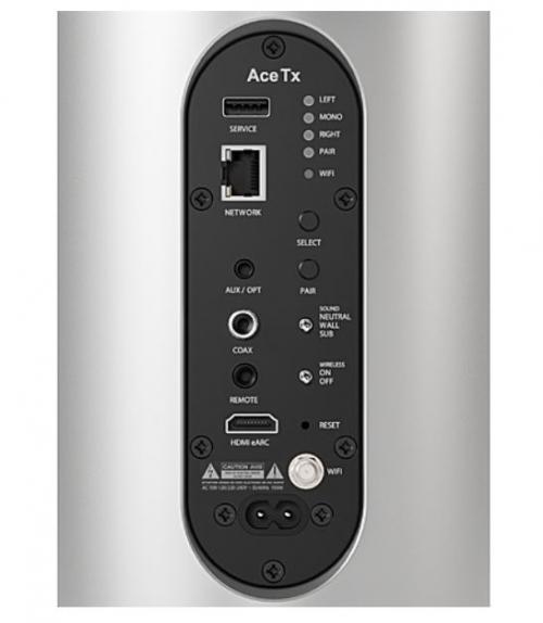 Активная напольная акустическая система Piega Ace 50 wireless TX silver