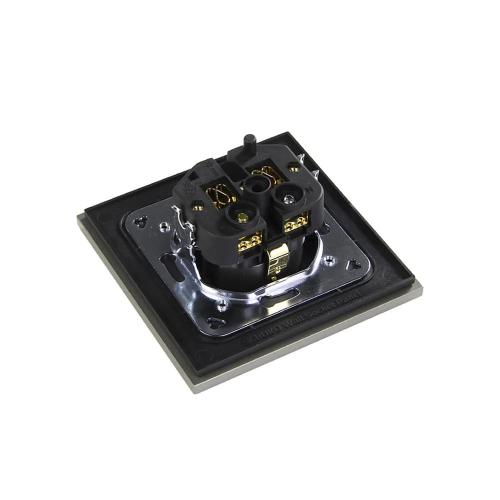Сетевая розетка Furutech FP-SWS(G)