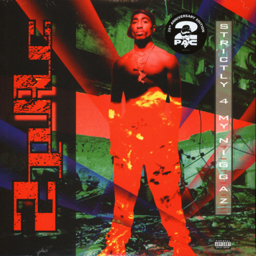 Виниловая пластинка 2Pac, Strictly 4 My N.I.G.G.A.Z...