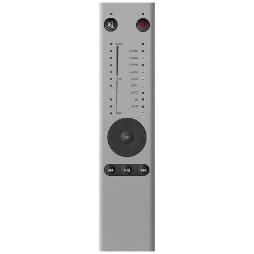 Цифровой хаб System Audio SA Stereo Hub for Silverback (with Remote)