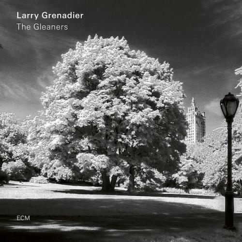 Виниловая пластинка Larry Grenadier, The Gleaners (180g)