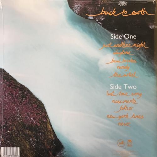 Виниловая пластинка Cat Stevens - Back To Earth (Black Vinyl LP)