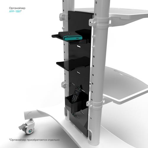 Стойка для двух телевизоров с кронштейном Onkron TS1881DVW