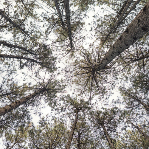 Виниловая пластинка Katie Melua - Love & Money (Black Vinyl LP)