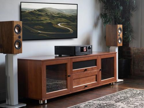 Интегральный усилитель Rotel RAS-5000 Black