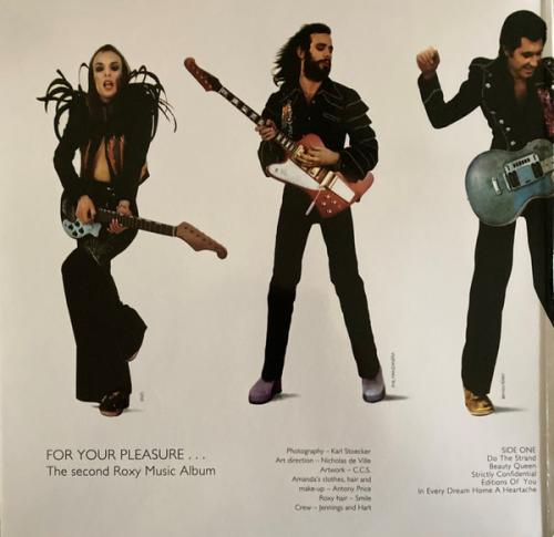 Виниловая пластинка Roxy Music - For Your Pleasure (Half Speed) (Black Vinyl LP)