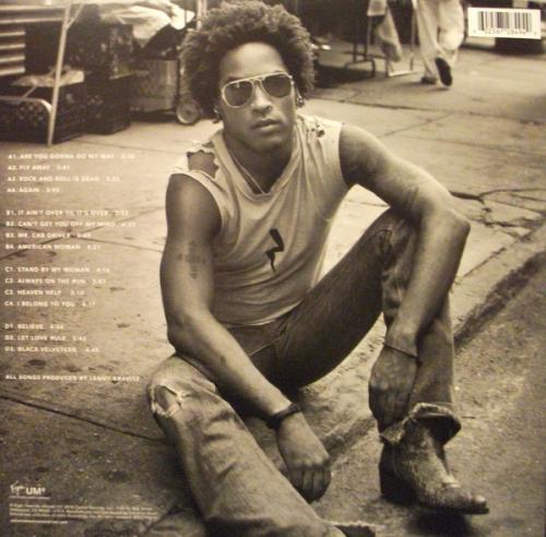 Виниловая пластинка Lenny Kravitz, Greatest Hits (2LP)