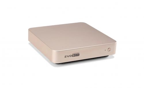 Караоке-система Evolution EVOBOX Classic Gold