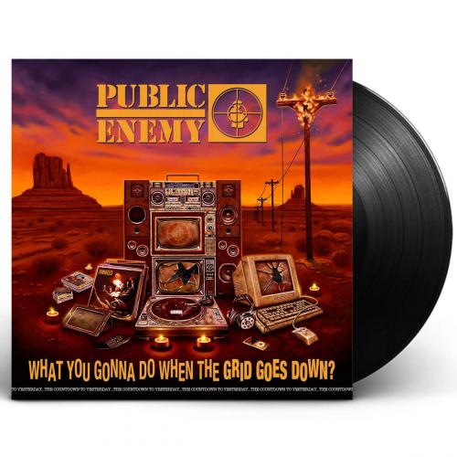 Виниловая пластинка Public Enemy – What You Gonna Do When The Grid Goes Down?