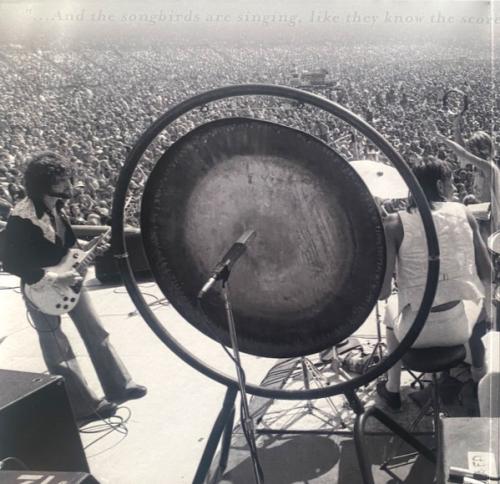 Виниловая пластинка Fleetwood Mac - Rumours Live (Black Vinyl 2LP)