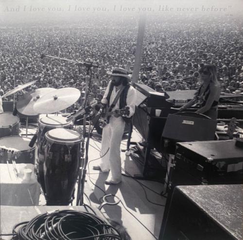 Виниловая пластинка Fleetwood Mac - Rumours Live (Black Vinyl 2LP)