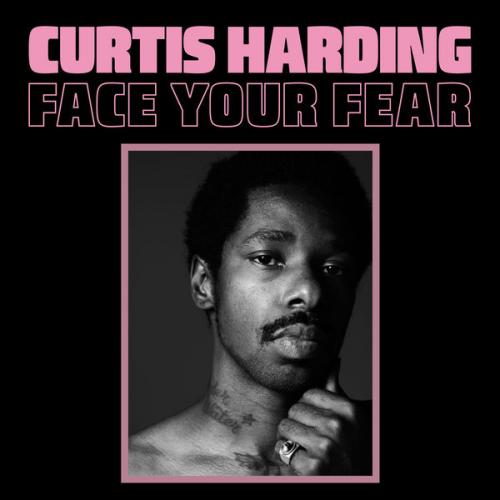 Виниловая пластинка Curtis Harding - Face Your Fear (Black Vinyl LP)