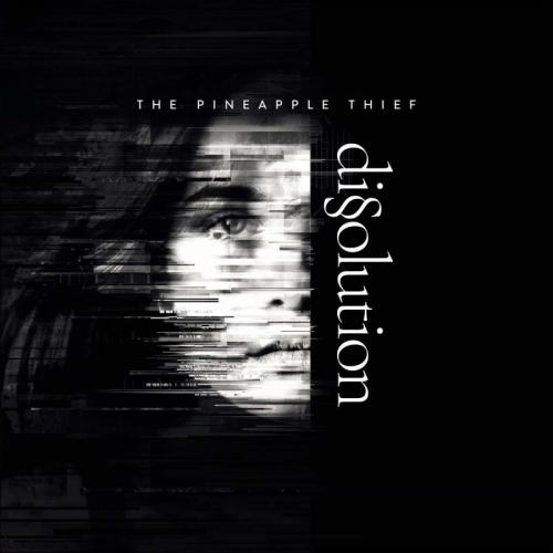 Виниловая пластинка The Pineapple Thief - Dissolution (BlackVinyl LP)