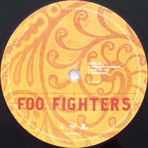 Виниловая пластинка Foo Fighters SKIN AND BONES (180 Gram)