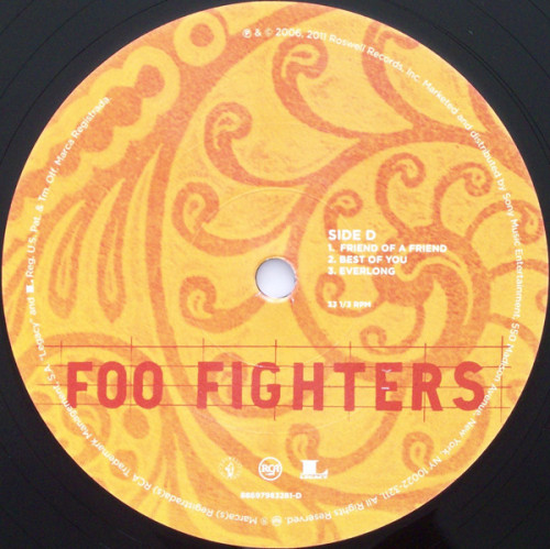 Виниловая пластинка Foo Fighters SKIN AND BONES (180 Gram)