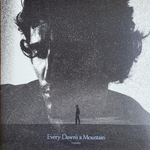 Виниловая пластинка Tamino - Every Dawn's A Mountain (Black Vinyl LP)