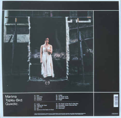 Виниловая пластинка Topley-Bird, Martina - Quixotic (Black Vinyl 2LP)