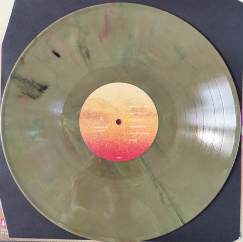 Виниловая пластинка Andy Shauf - Norm ( Eco-Mix Colored Vinyl LP)