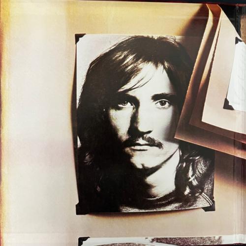 Виниловая пластинка Joe Walsh - The Smoker You Drink, The Player You Get (Analogue) (Black Vinyl 2LP)