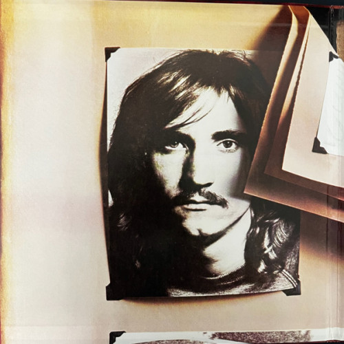 Виниловая пластинка Joe Walsh - The Smoker You Drink, The Player You Get (Analogue) (Black Vinyl 2LP)