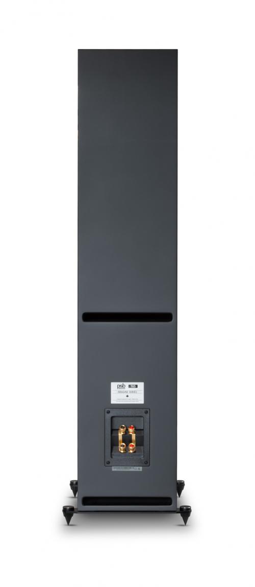 Напольная акустика PSB Imagine T65 Black