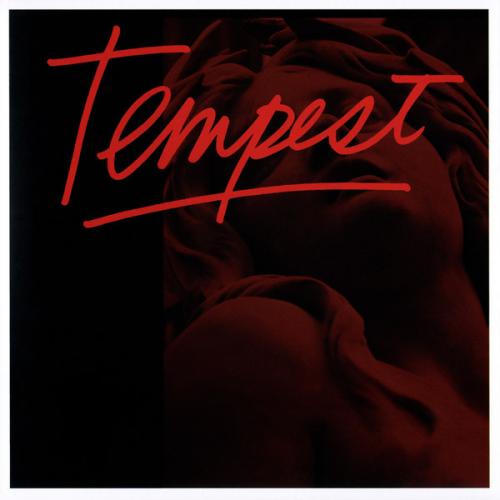 Виниловая пластинка Bob Dylan TEMPEST (2LP+CD/180 Gram)