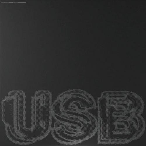 Виниловая пластинка Fred Again.. - USB (Black Vinyl 2LP)