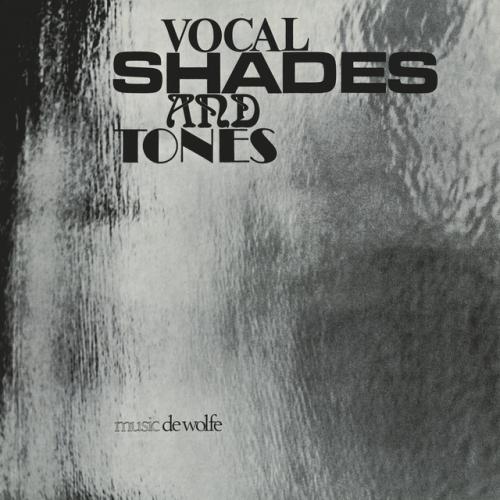 Виниловая пластинка Barbara Moore - Vocal Shades And Tones (Black Vinyl LP)