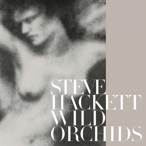 Виниловая пластинка Steve Hackett - Wild Orchids (Black Vinyl 2LP)