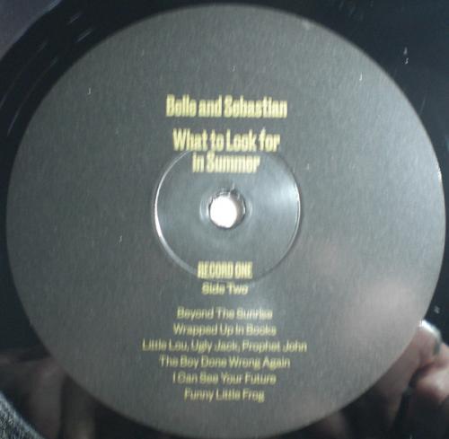Виниловая пластинка Belle & Sebastian - What To Look For In Summer (Black Vinyl 2LP)