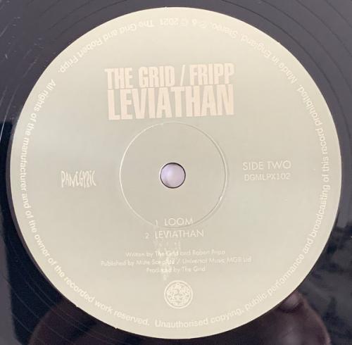 Виниловая пластинка Robert Fripp; The Grid - Leviathan (Black Vinyl 2LP)