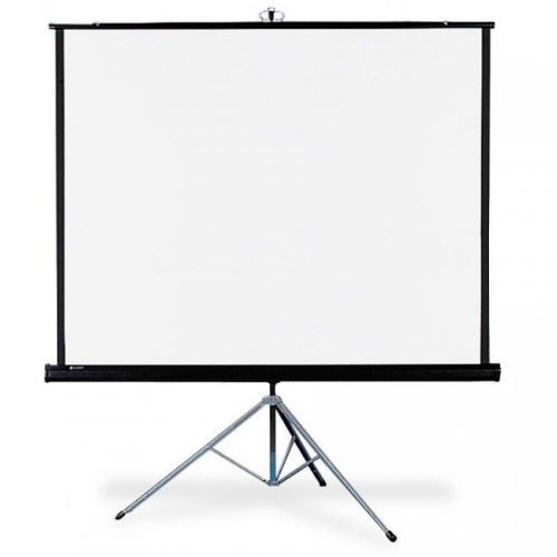 Экран Draper Diplomat AV (1:1) 50/50" 127*127 MW213001