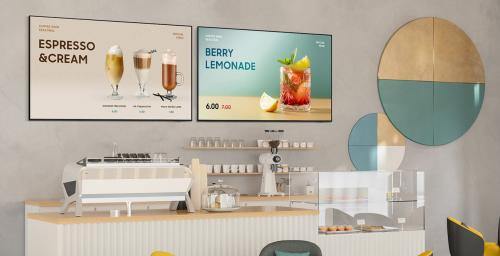 Коммерческий телевизор Samsung BE55FX-H