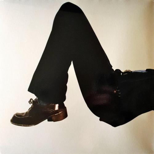 Виниловая пластинка Jarvis Cocker - Further Complications (Black Vinyl 2LP)